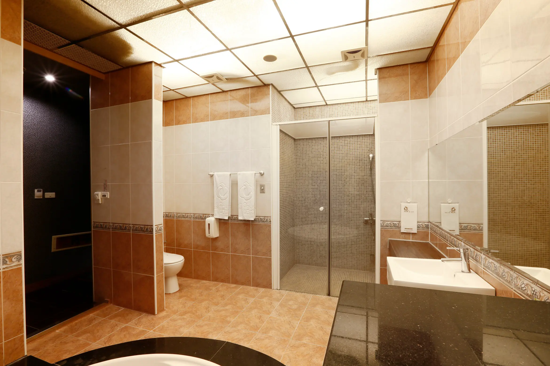 豪華汽車房-附SPA浴缸